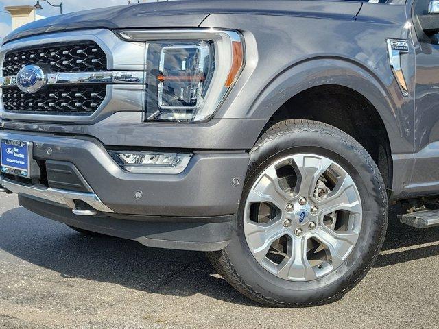 2021 ford f-150 platinum