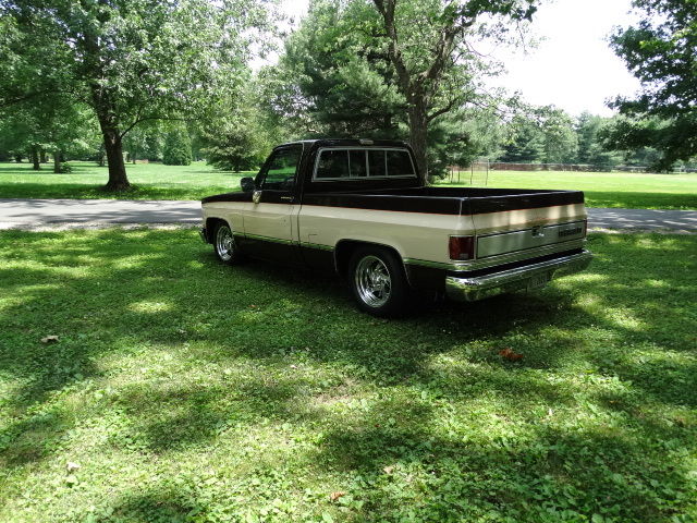prestine swb c10, big block 454, show room condition, pro built