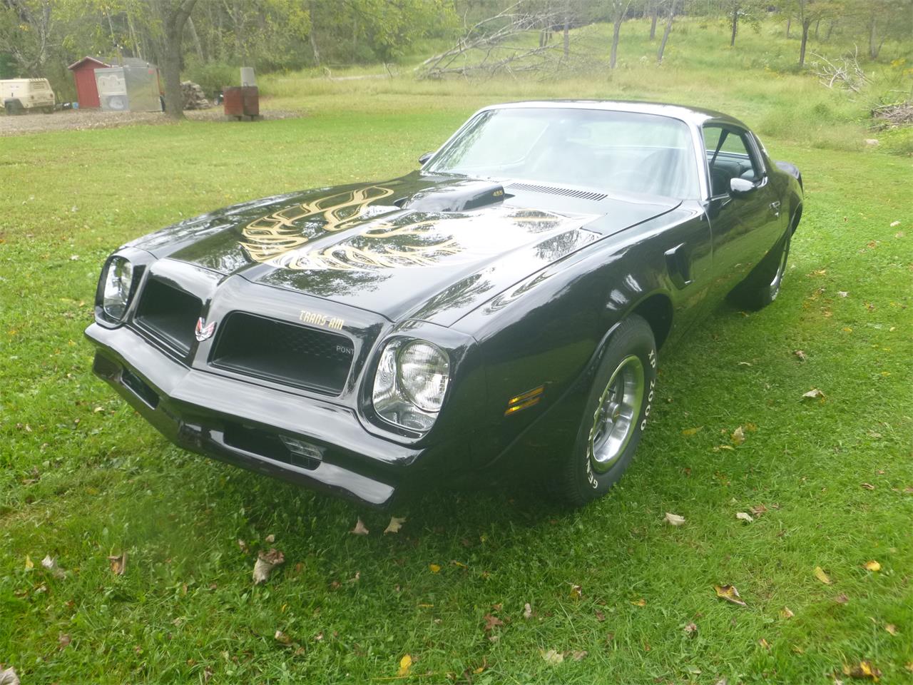 1976 pontiac firebird trans am