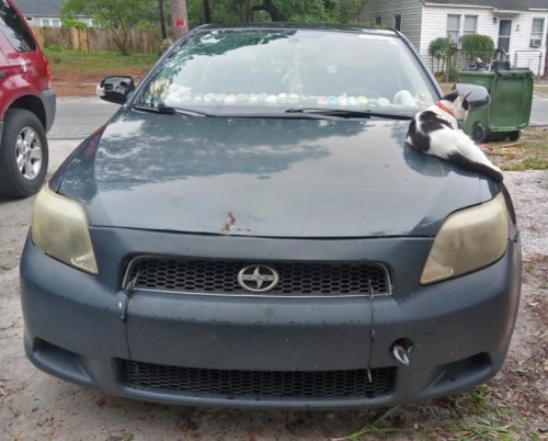 2006 scion tc for sale in north carolina by owner