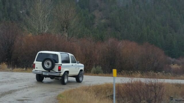 solid bronco ii with no rattles and runs great