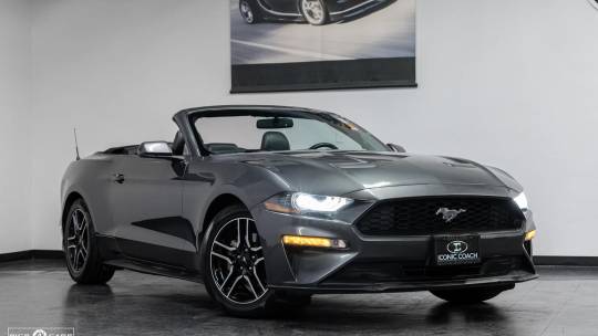 2019 Ford Mustang