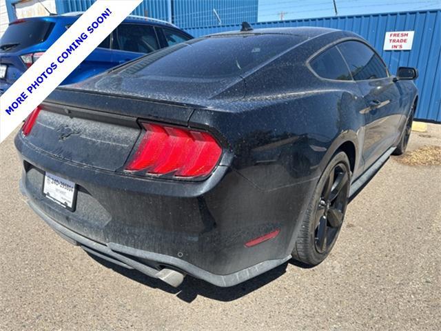 2022 ford mustang ecoboost