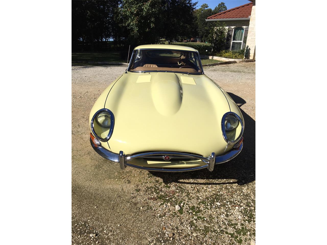 1965 jaguar e-type
