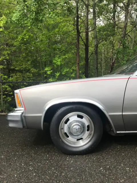 survivor original barn find 1 of 94 documented v8 factory 4-speed