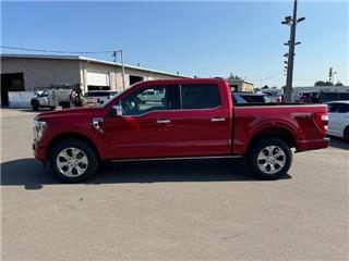 2021 Ford F-150 platinum