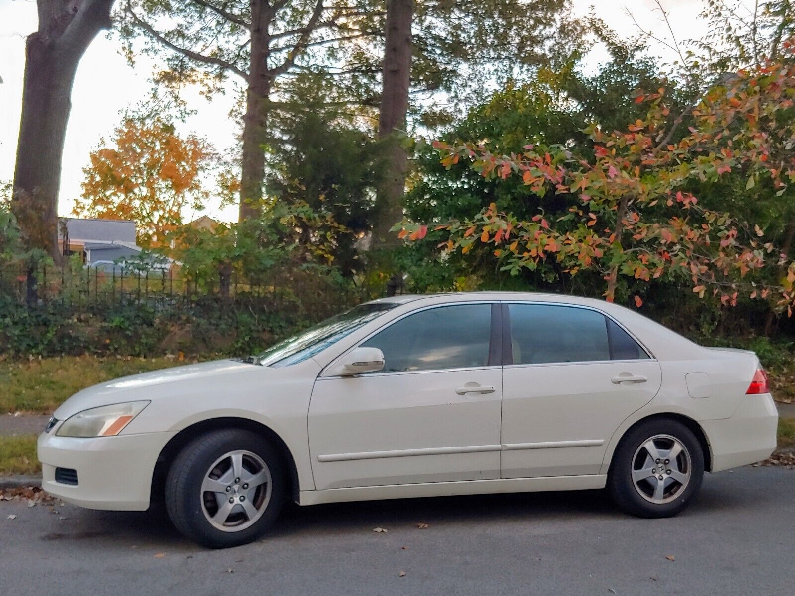 2006 honda accord hybrid