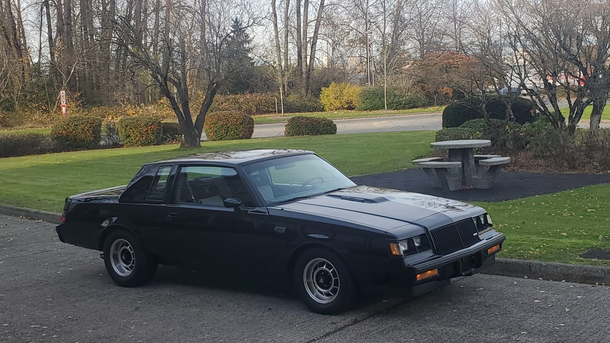 1987 buick grand national
