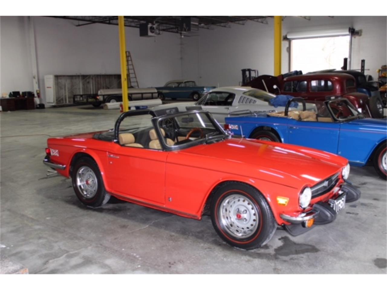 triumph tr6