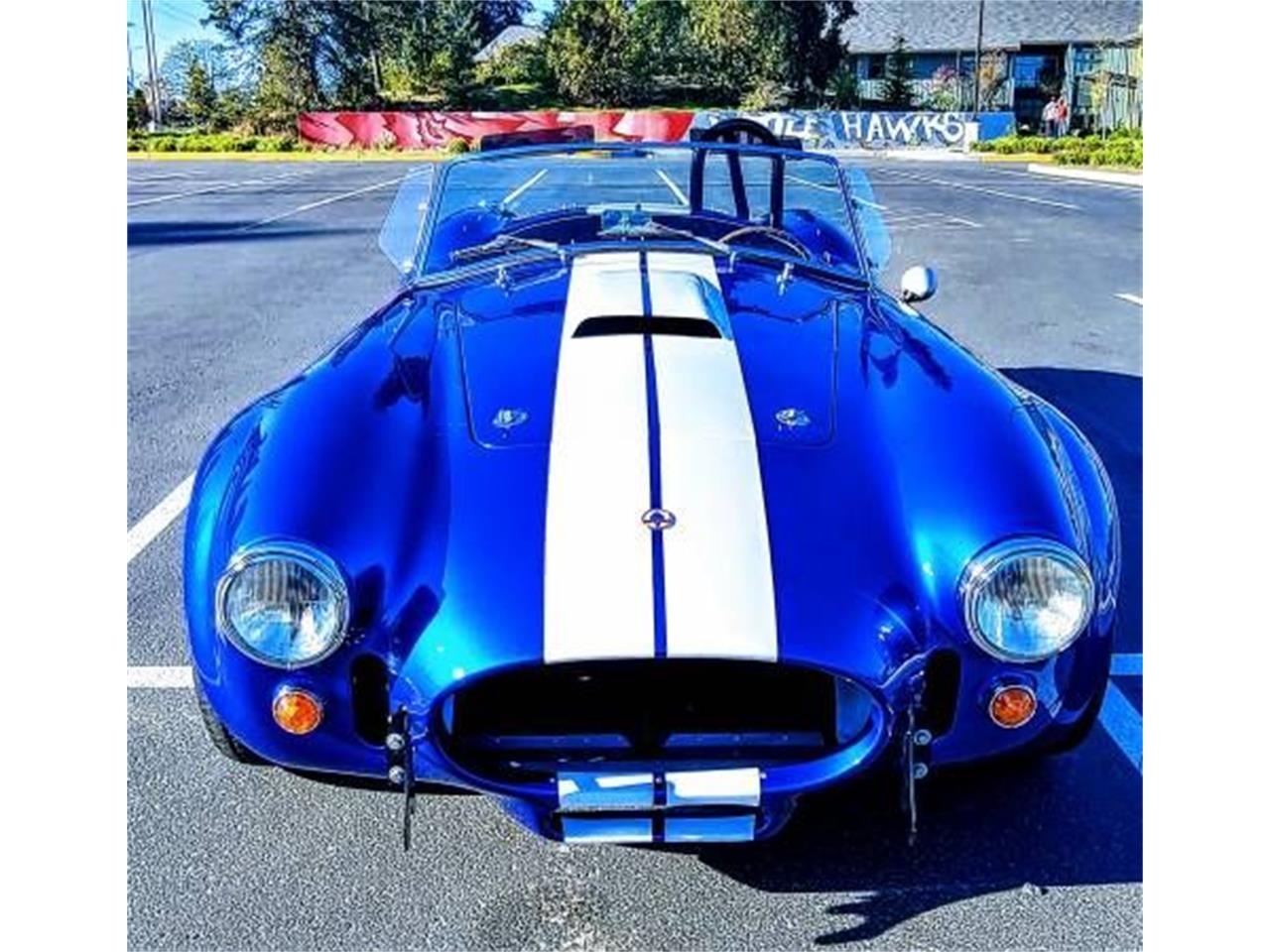 1965 shelby cobra