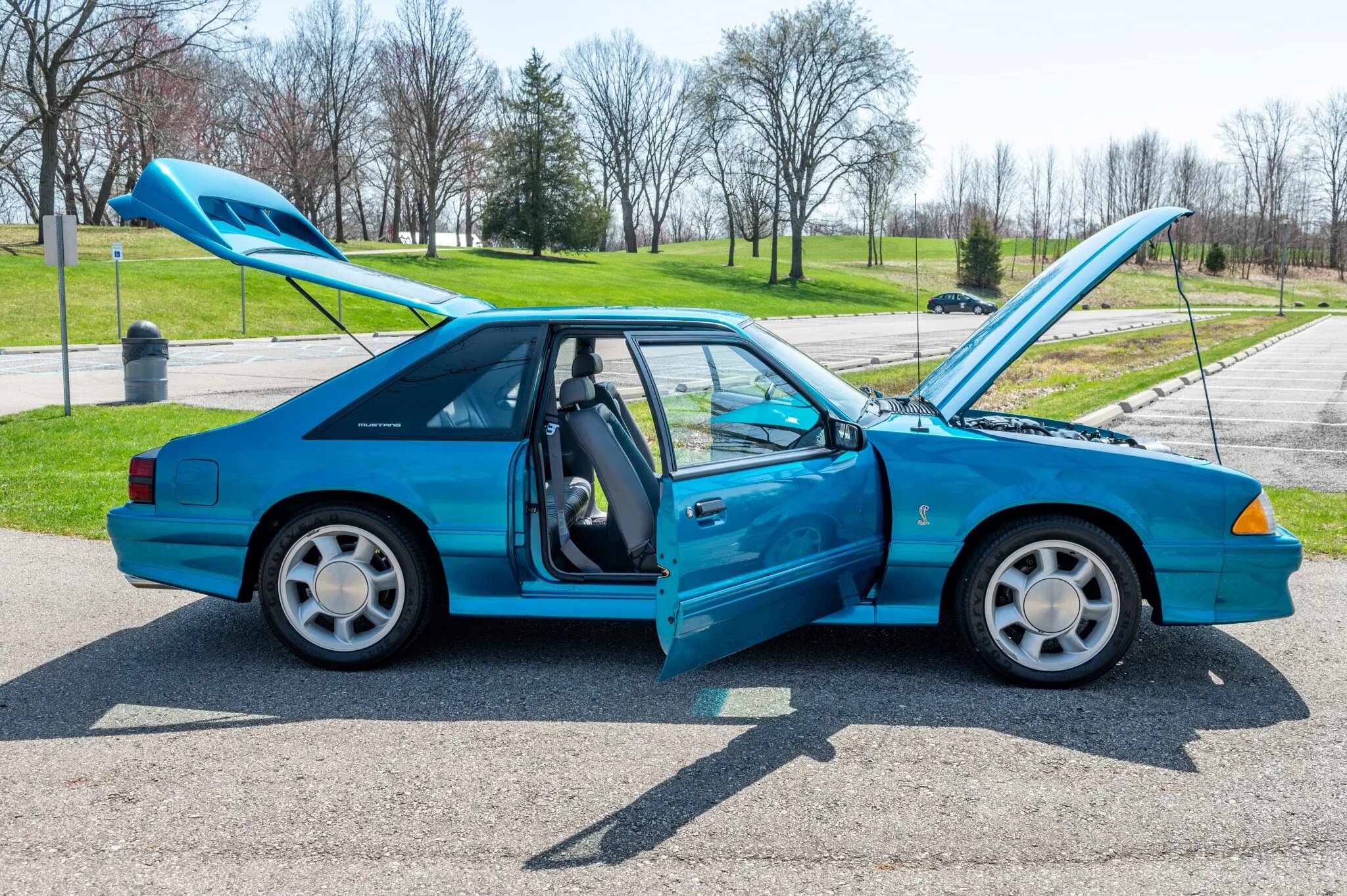 ford mustang svt cobra