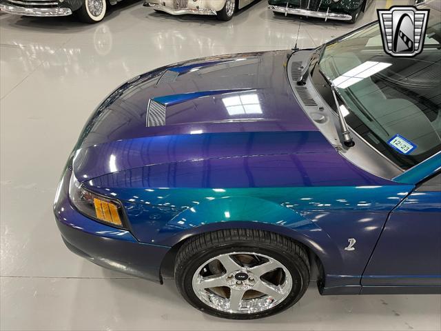 2004 ford mustang svt cobra