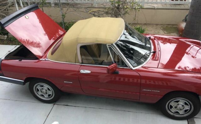 beautiful 1990 alfa rome spider veloce
