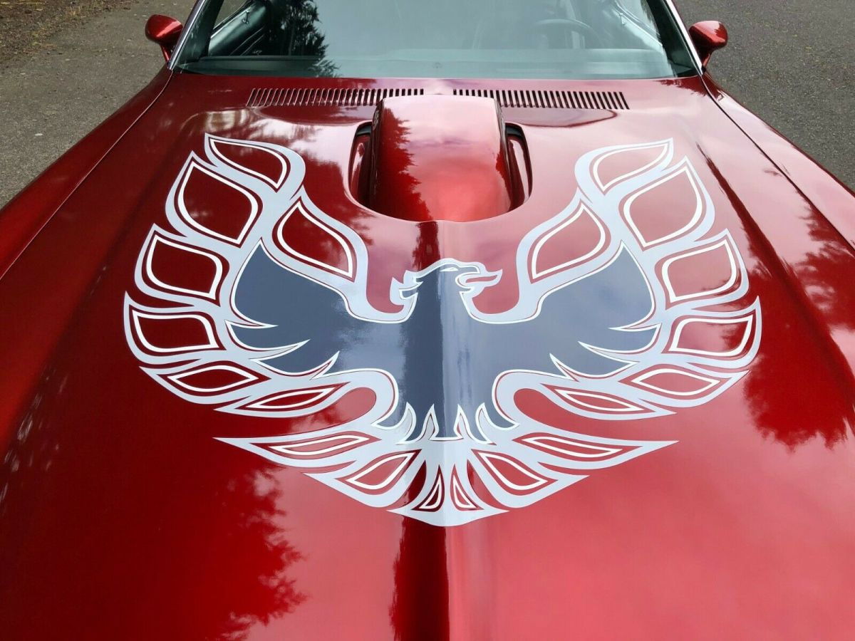 1975 with the style of a 73 super duty styled pontiac firebird trans am