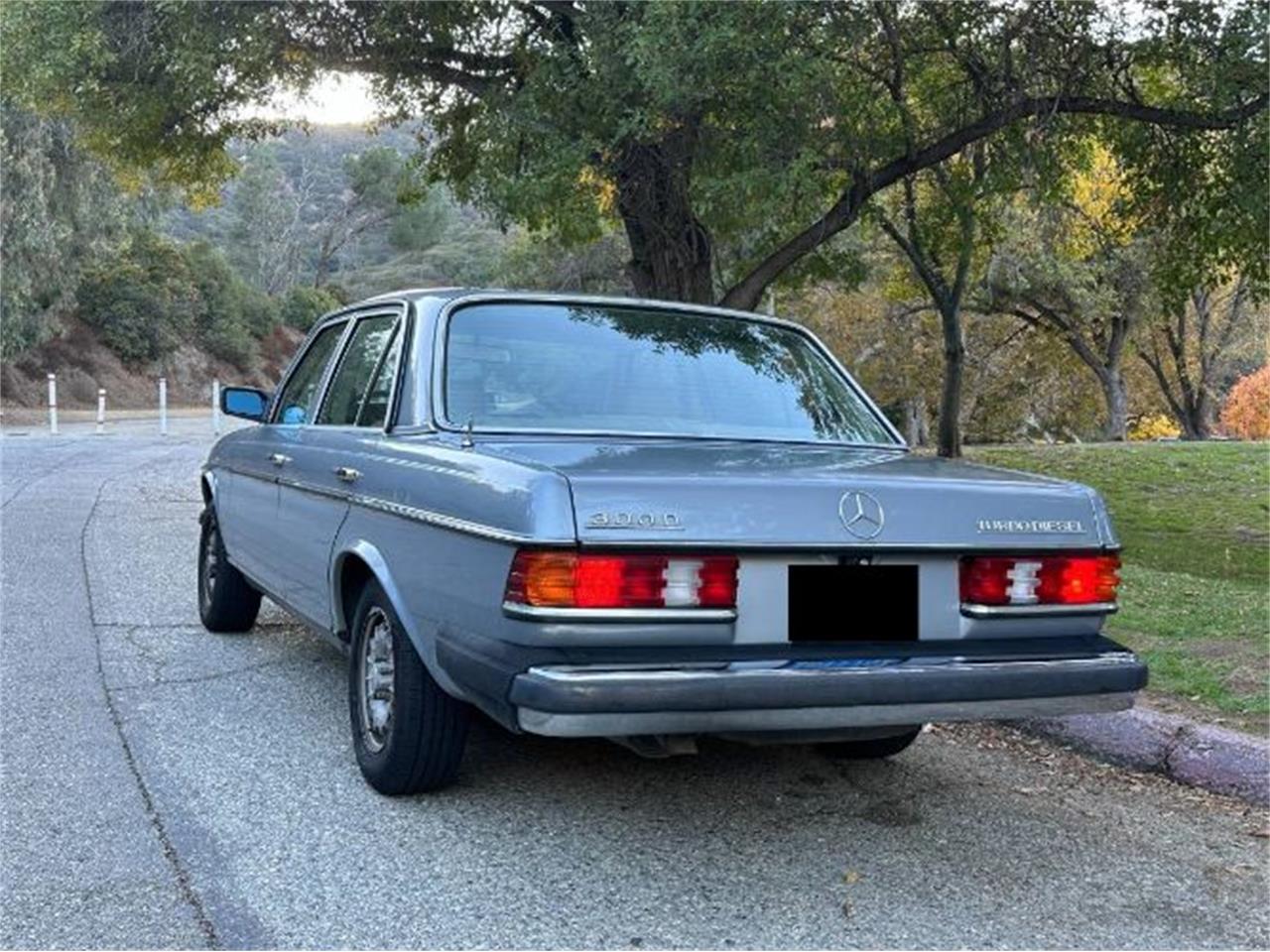 1983 mercedes-benz 300d
