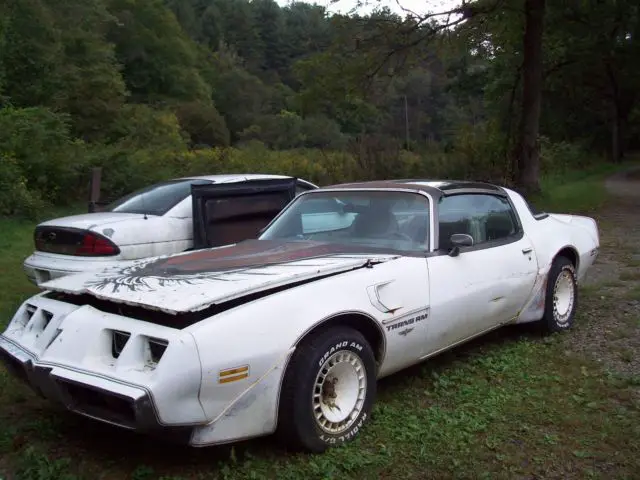 1980 trans am turbo pace car project numbers matching no reserve