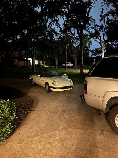 1984 alfa romeo spider convertible brown rwd manual 2000 spider