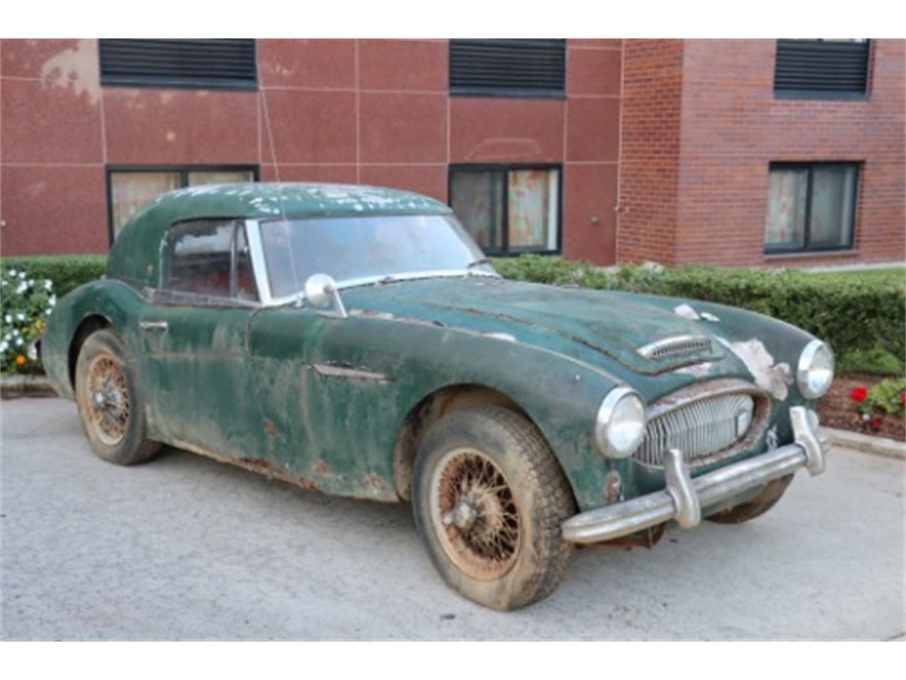 1965 austin-healey 3000 mark iii