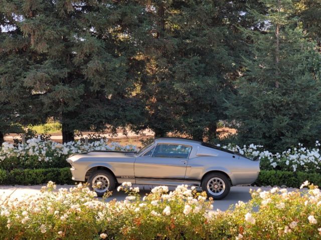 1967 mustang eleanor project