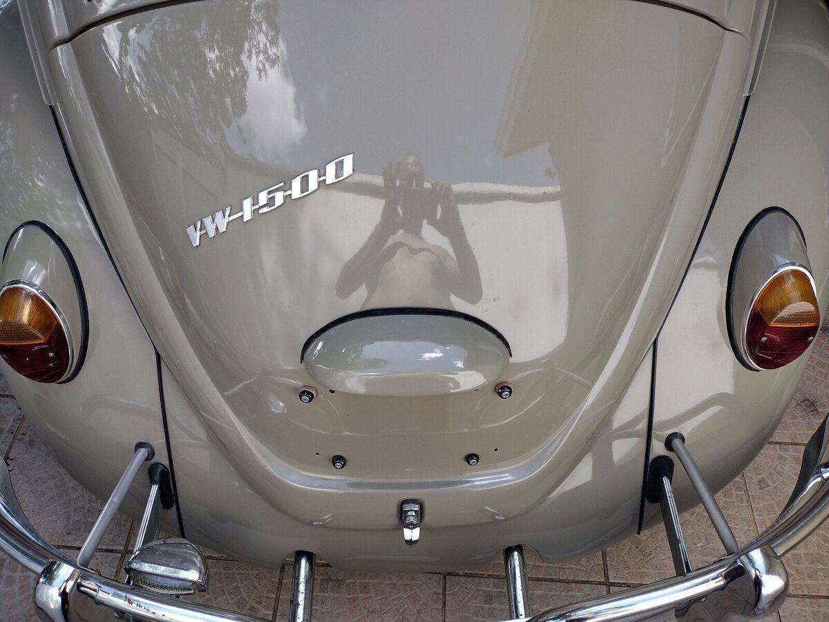 1967 volkswagen 1500 sedan brown