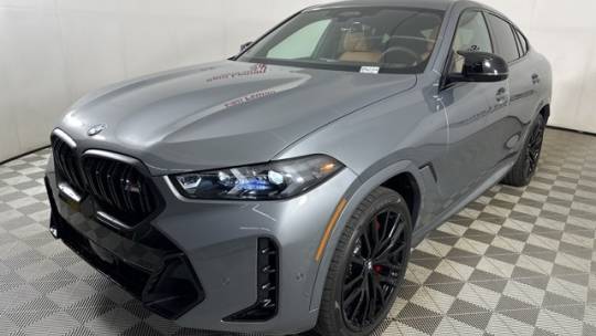 2025 BMW X6