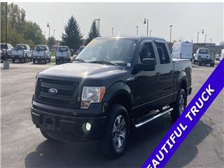 2014 Ford F-150 stx