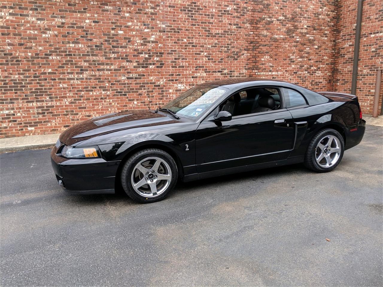 2004 ford mustang svt cobra