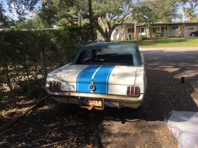 barn find - clear title white