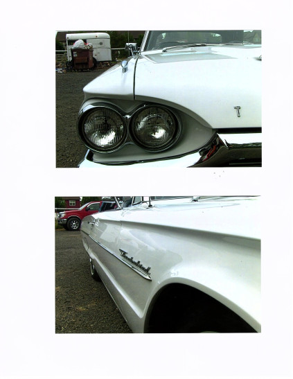 ford thunderbird