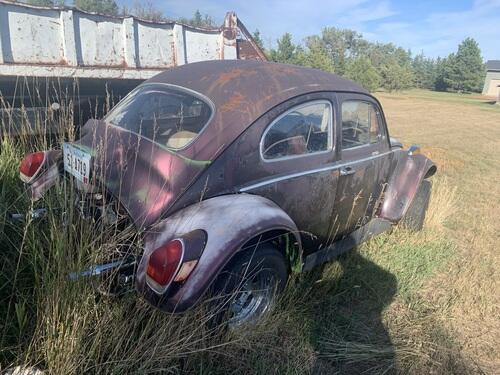 1964 and 1965 (?) volkswagen bugs - must go together!
