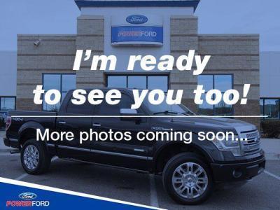 2013 ford f-150 platinum 4x4 platinum 4dr supercrew styleside 5.5 ft. sb for sale in albuquerque, new mexico