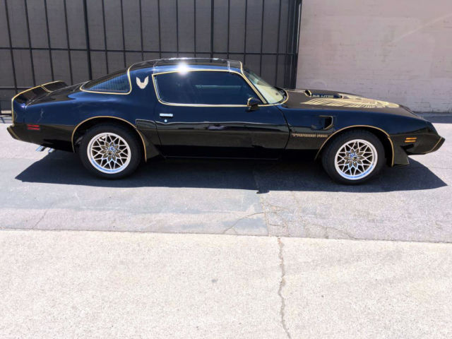 1981 pontiac firebird trans am coupe - custom interior