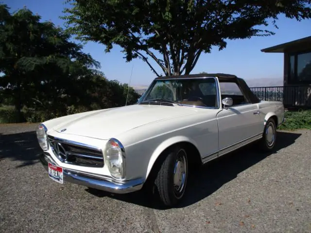 in mercedes cream with saddle interior
