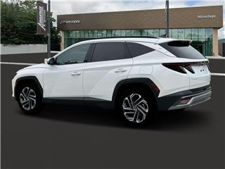 2025 Hyundai Tucson limited