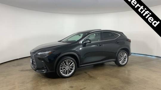 2024 Lexus NX