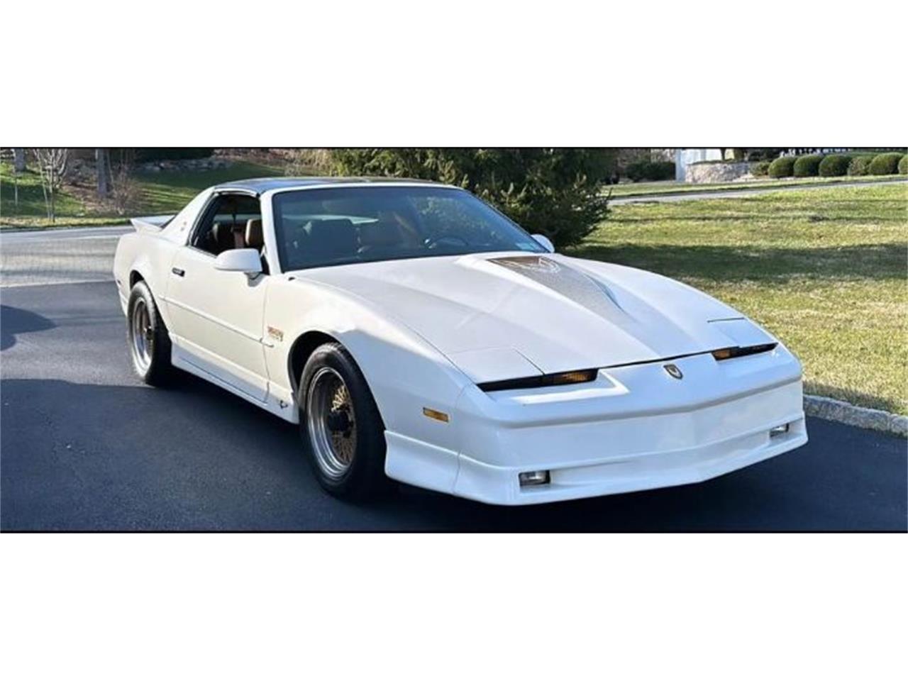 for sale: 1989 pontiac firebird trans am in cadillac, michigan for sale in cadillac, mi