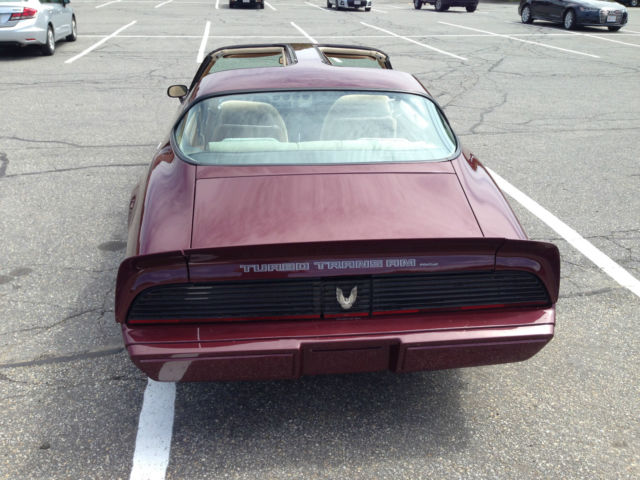 1981 pontiac firebird