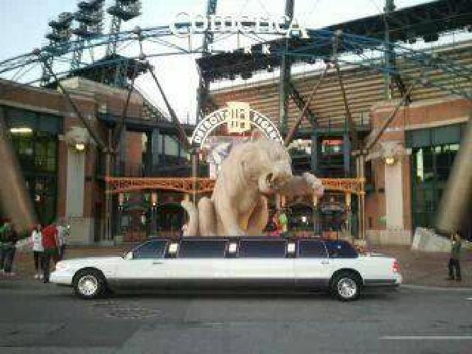 limousine in terre haute, in
