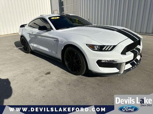 2019 ford mustang shelby gt350