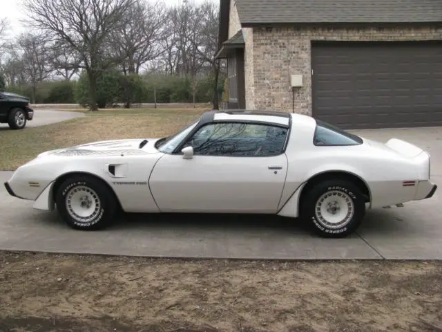 1981 trans am daytona 500 se