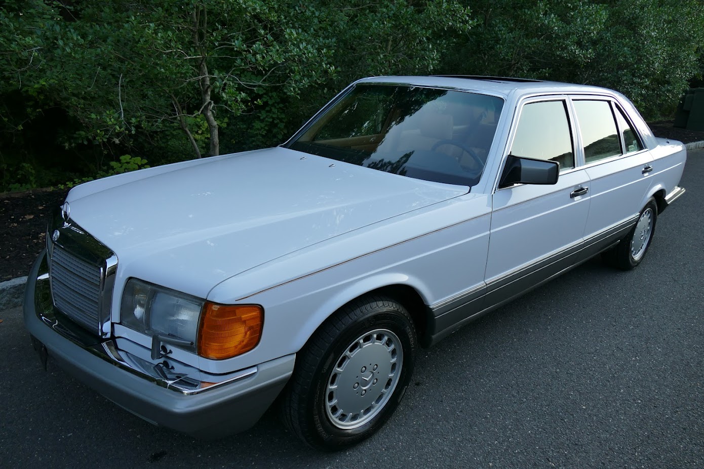 1986 mercedes-benz 300sdl