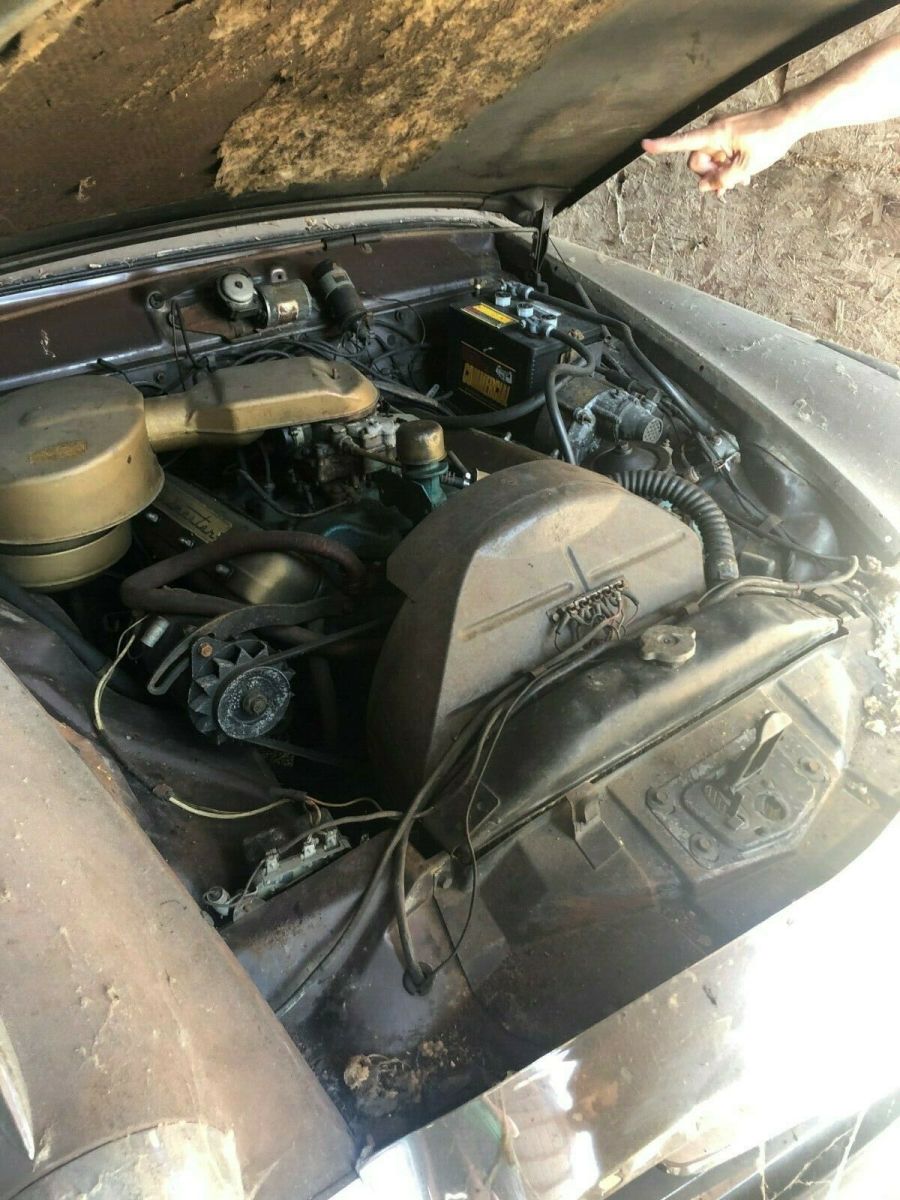 1955 studebaker president speedster w/ title - barn find