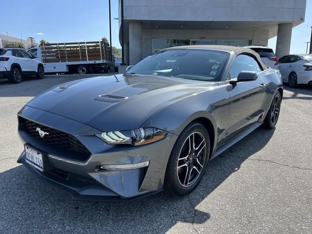 2023 ford mustang ecoboost