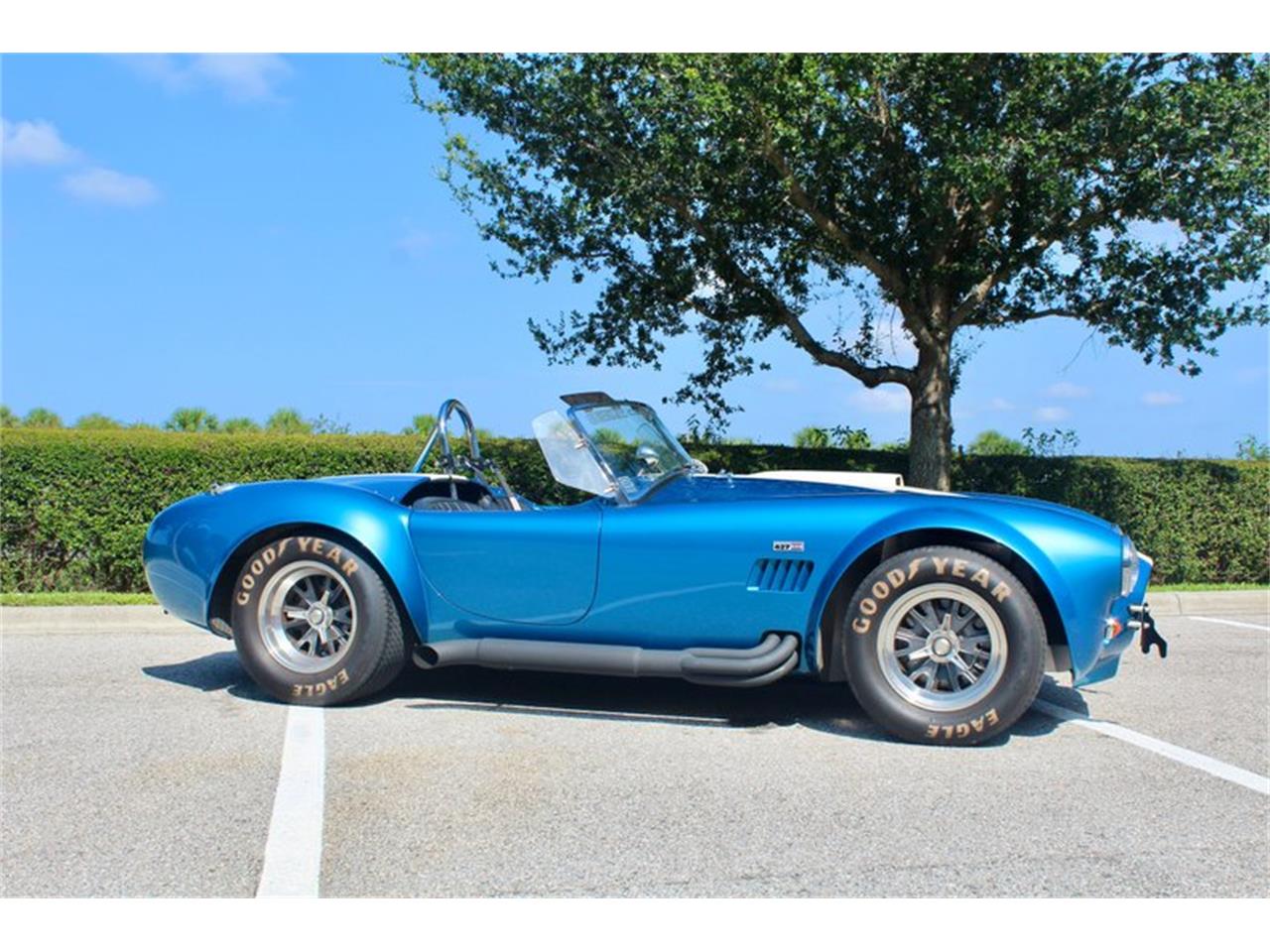 1965 shelby cobra