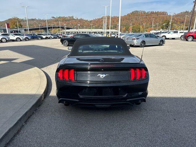 2022 ford mustang ecoboost