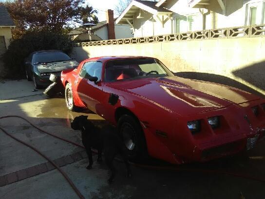 1981 pontiac firebird trans am turbo, engine 8-cyl. 301cid/200hp 4bbl turbo