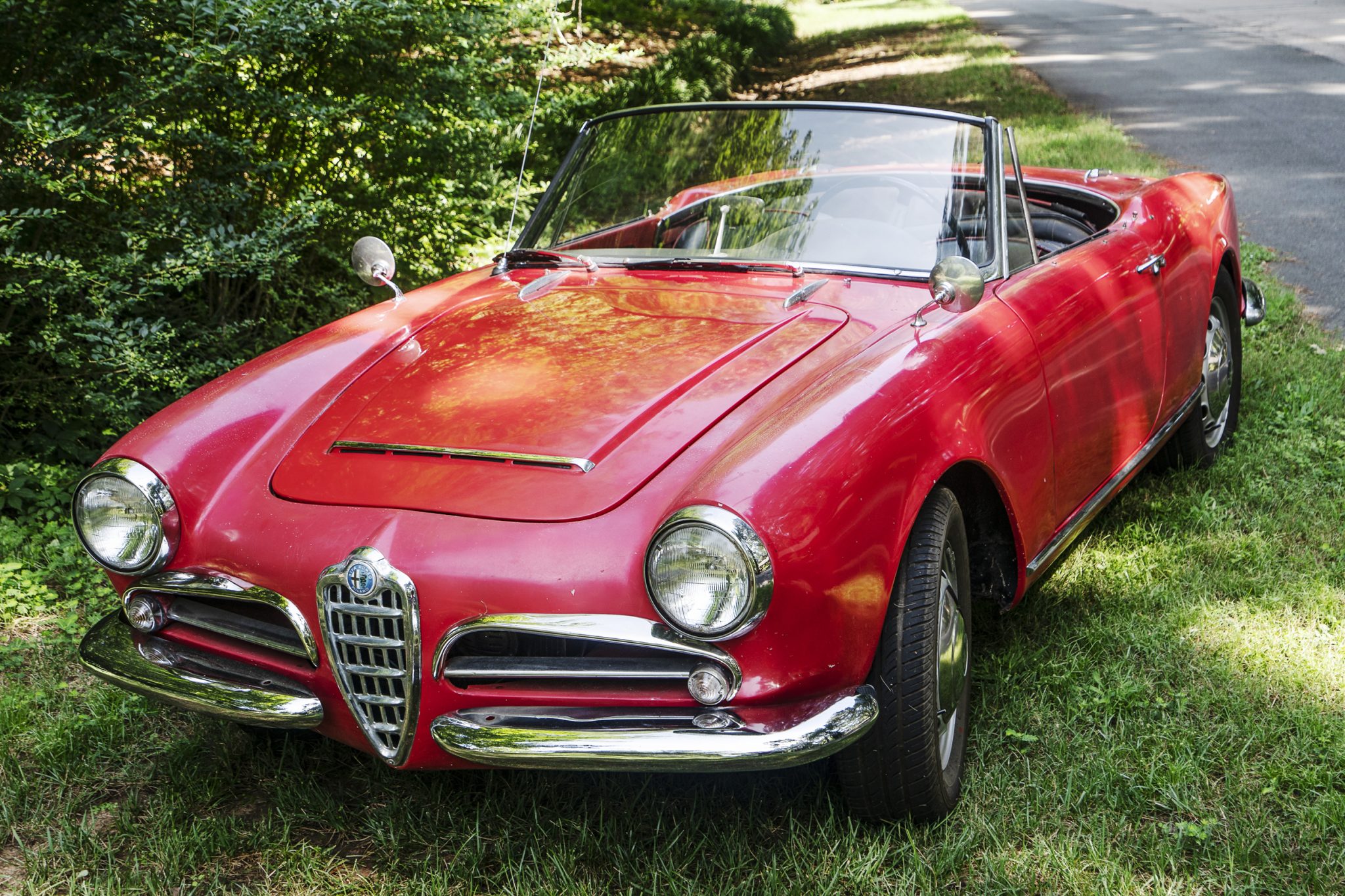 1963 alfa romeo giulia spider project