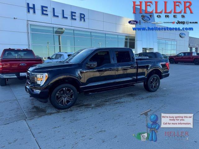 2022 ford f-150 xlt