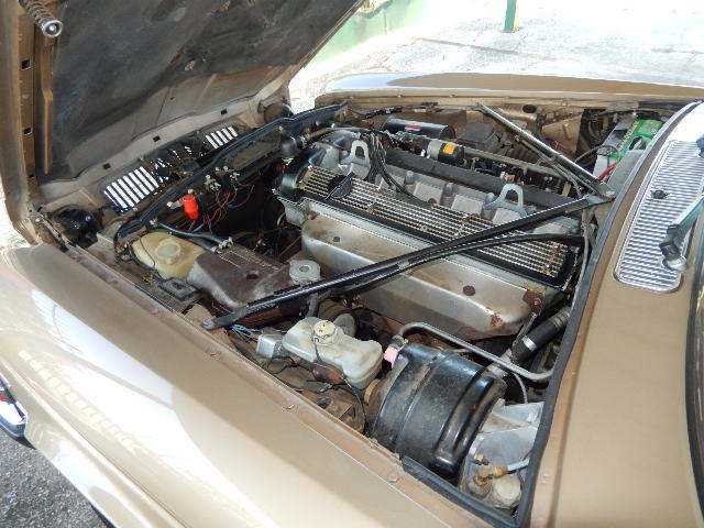 1985 jaguar xj6 vdp