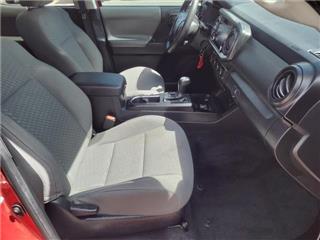 2023 Toyota Tacoma trd pro